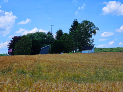 Sheldon Town